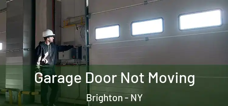  Garage Door Not Moving Brighton - NY