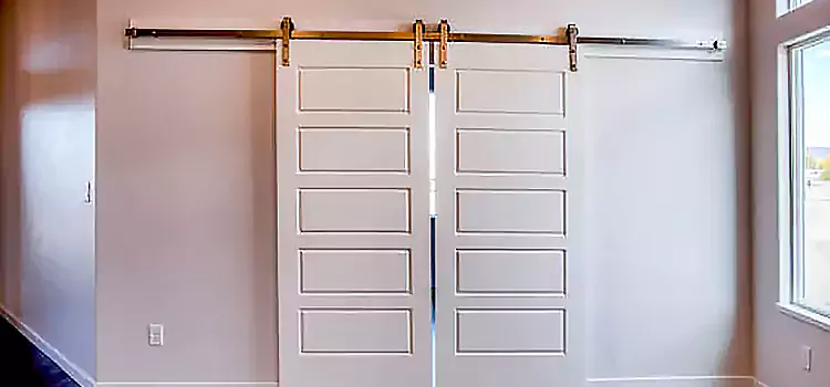 Glass Barn Door with Installation Hardware Kit Brighton